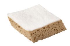 PAR-582 / Sponge